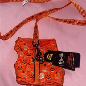 Orange Pumpkin Dog Harness and Leash Set